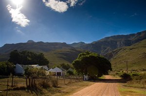 10 Things to do in Greyton