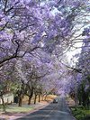 10 Things to Do in Pretoria