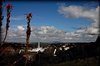 10 Things To Do in Swellendam