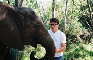 10 Things To Do in The Crags, Garden Route