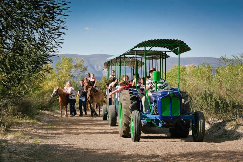 3 things to do in Montagu that are not hot spring related.