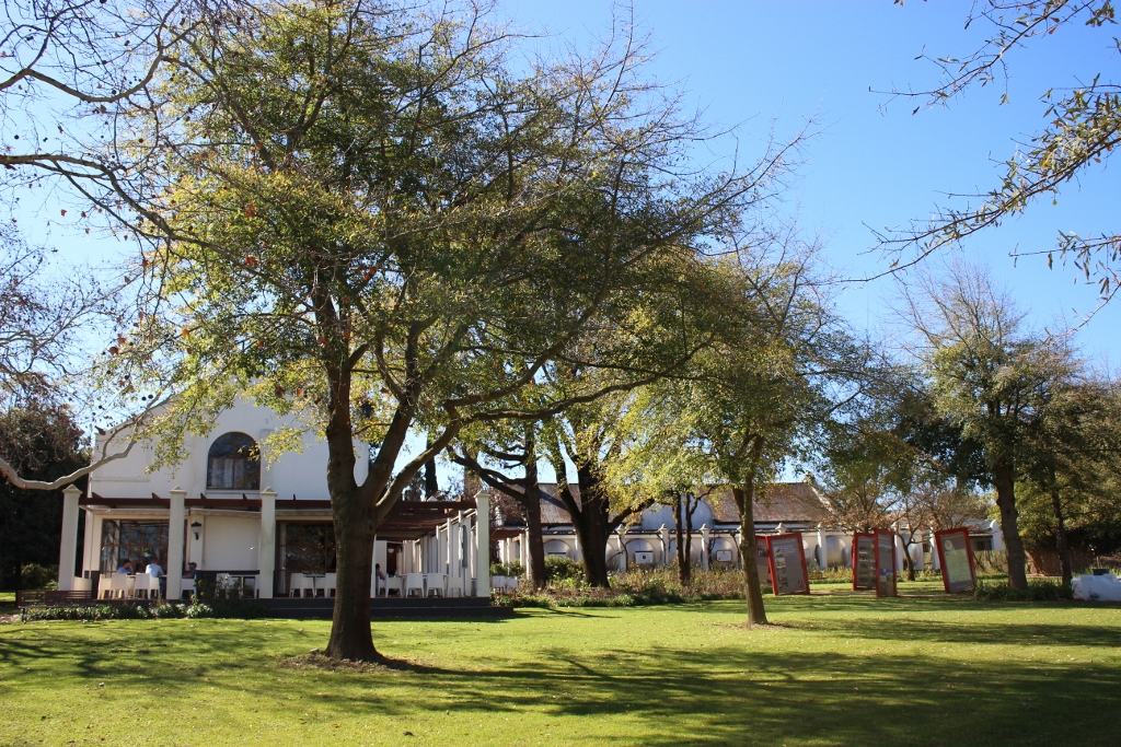 7 Reasons why you should spend some solo time in Stellenbosch