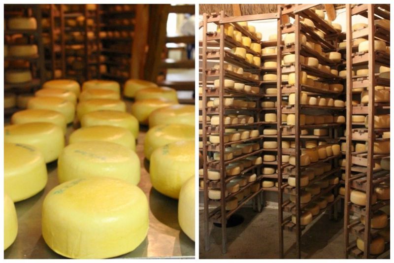 prince albert cheese