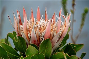7 Top South African Bloggers share their Favourite Heritage Attractions