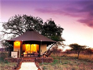 A game drive at White Elephant Safari Lodge