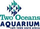 A Night of Art, Music and Film at the Two Oceans Aquarium