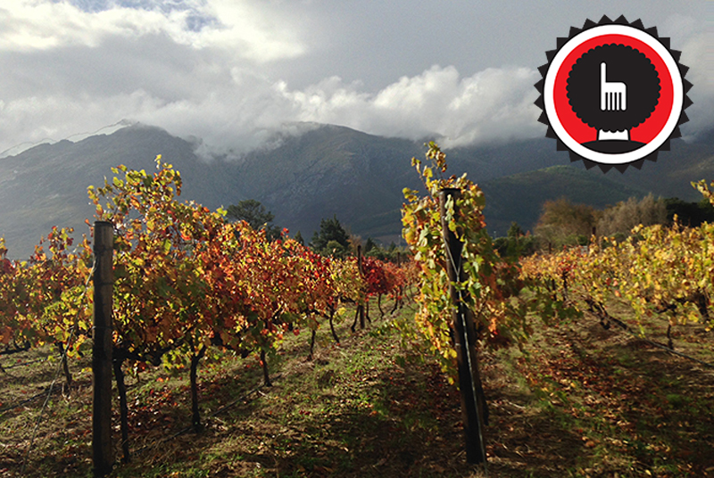 A stay at the historical Grand Provence Heritage Wine Estate