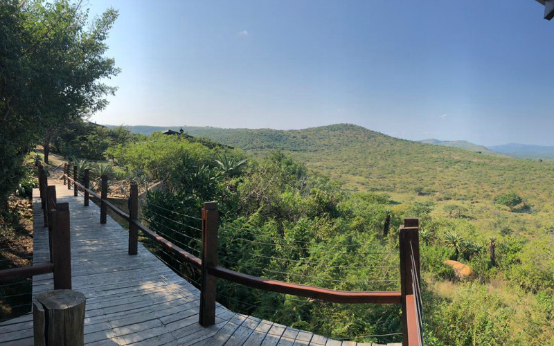 A taste of the wild: Rhino Ridge Safari Lodge