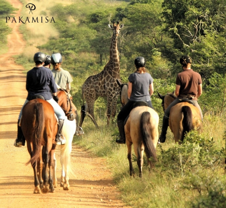 Pakamisa Game Reserve hosts HIV/AIDS staff educational