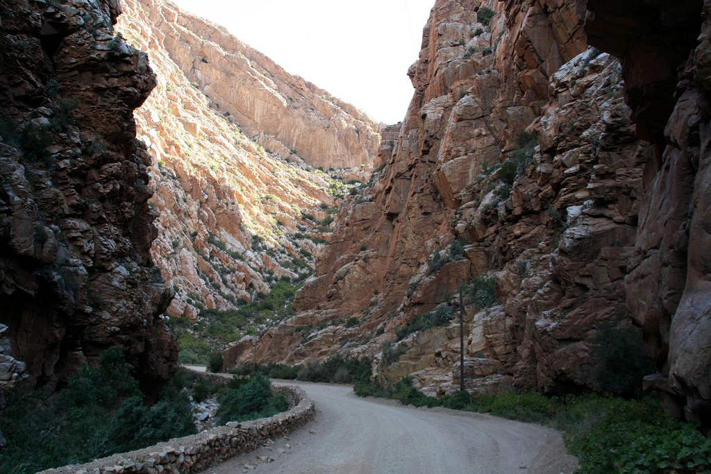 An incredible all-day self drive exploration of the Garden Route and Karoo