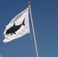 Barry Hilton Fundraiser for Shark Spotters