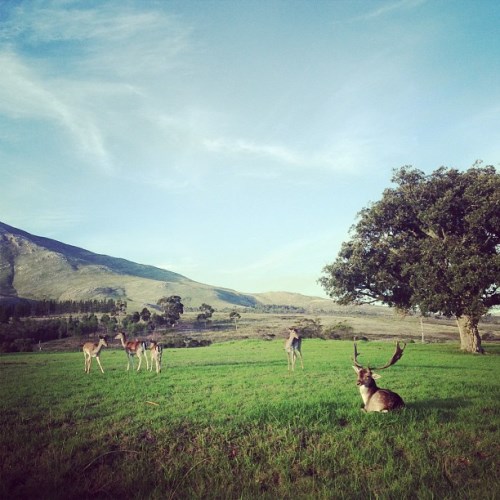 Beatnik''s Guide to the Overberg