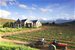 Become a vine owner & grow your own Shiraz at Kingsriver Estate on Route 62