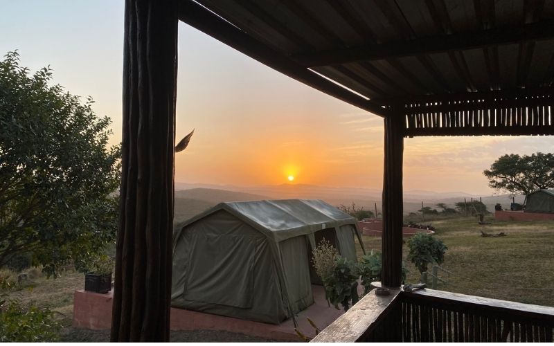 Behind the scenes at Thula Thula Private Game reserve