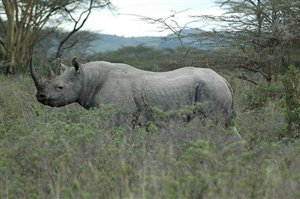Big 5 Walking Trails in Zululand, KZN