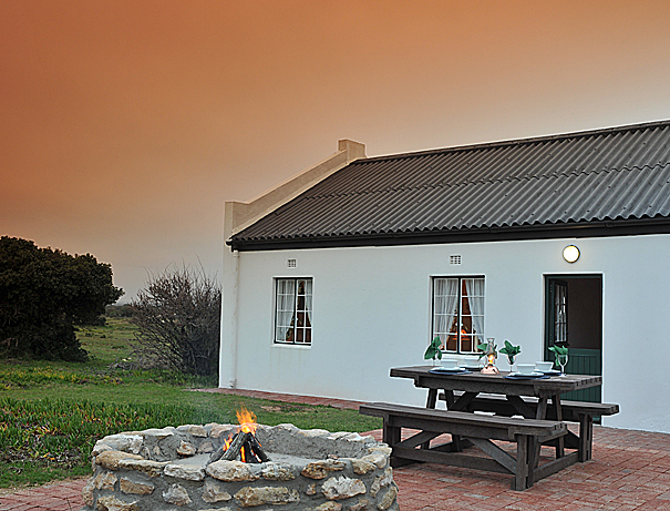 Bird-spotting & boat rides at De Hoop