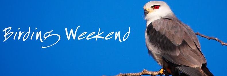 Birding weekend at Likweti Lodge