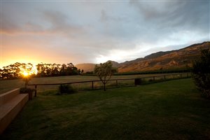 Breathing Space at Blue Gum