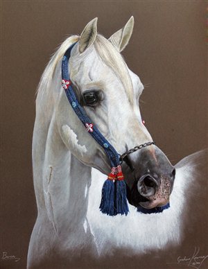 Capturing the majestic horse at Pakamisa
