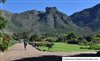 Centenarian Walks at Kirstenbosch