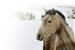 Drakensberg Mountain Retreat mid-week winter special