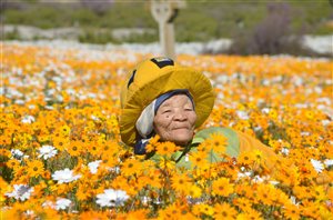Dreaming of spring