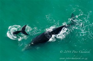 Family photographic weekend at De Hoop