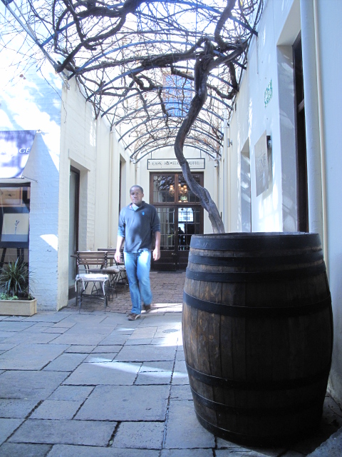 First wine and oldest vine in Cape Town - Friday story time with David Bristow