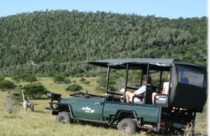 Get Out of your Rut & Head for the SA Bush