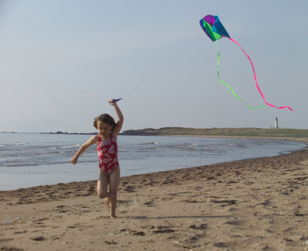 Go Fly a Kite