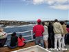 Hout Bay Harbour to Seal Island
