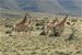 Karoo fire not a threat to guests