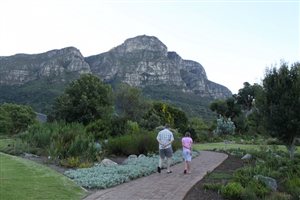 Kirstenbosch Garden walks