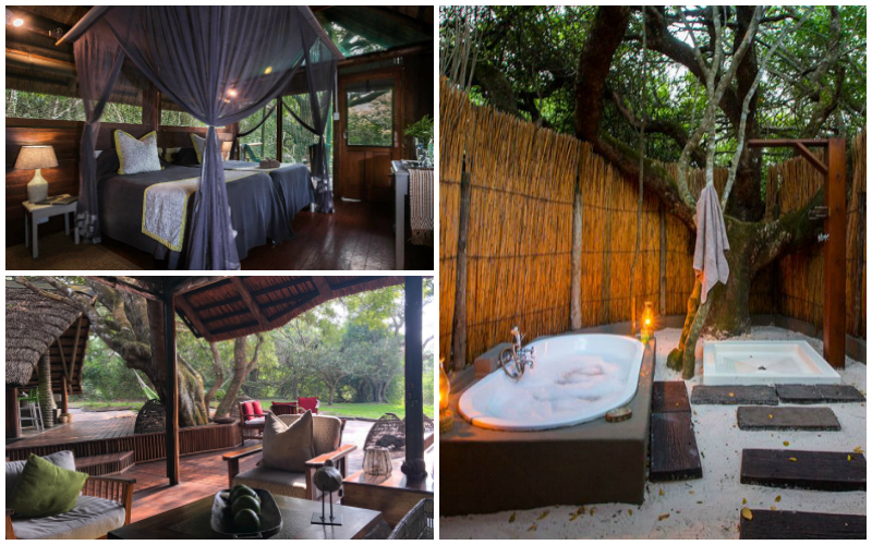 Kosi Bay magic at Kosi Forest Lodge