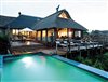 Last minute special safari deal at Pumba