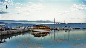 Locals'' Guide to KNYSNA
