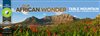 Long walk to Wonder - how Table Mountain became one of the New7Wonders