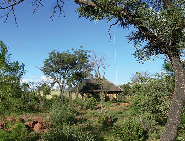 Love is Abloom in Cullinan