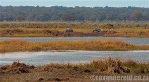 Mahango: off the beaten track in Caprivi, Namibia