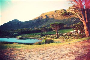 Market Monday - Cape Point Vineyard Market makes a move to Sundays