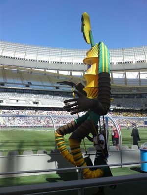 More Photos from CT Stadium Soccer Festival