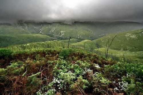New Smart City Development near George to Boost Garden Route Tourism