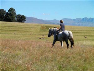 Penwarn - for the love of horses and beautiful vistas