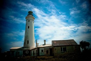 Portfolio Collection''s Insider Tips on St Francis