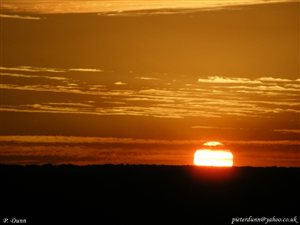Pumba Ranger Diary and Wildlife Photographs - 26 July 2012