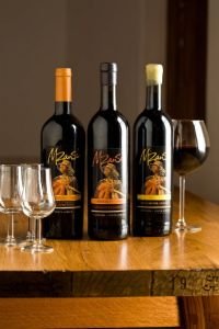 Real Wine Speak for Real People at Kingsriver Estate