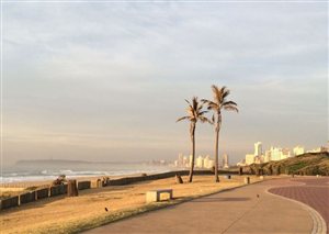 REVIEWED The Bike and Bean in Durban