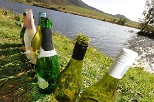 Robertson Wine on the River 2013