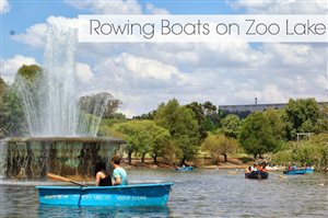 Romantic row around Zoo Lake