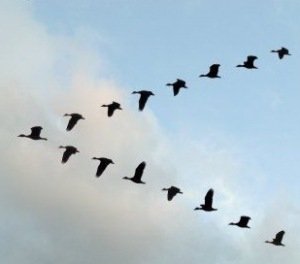SA International Planes to Fly in V Formation?